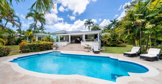 Palm Tree - Vacation Rental in Barbados